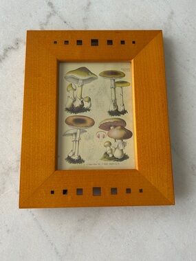 Wooden Photo Frame with Square Accent Cutouts and Mushroom Print